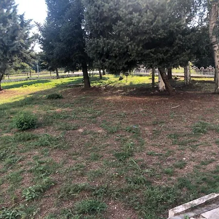 Albergue Со Мат Vidin